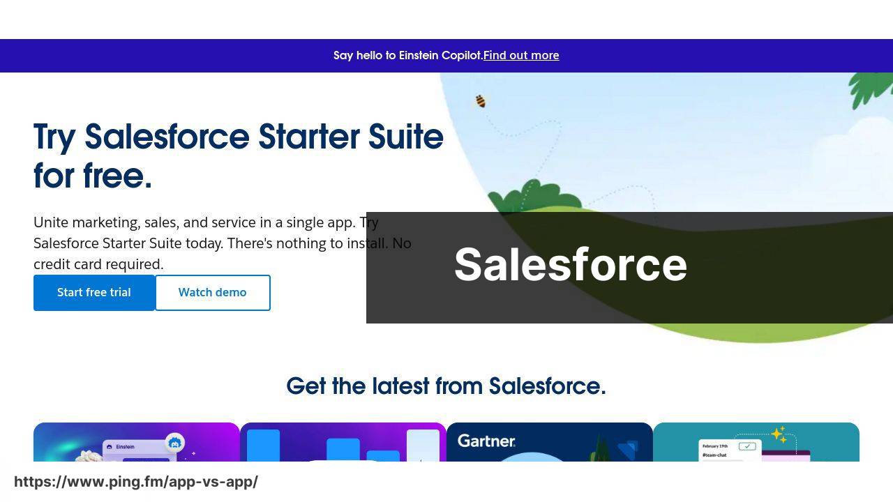 Salesforce screenshot
