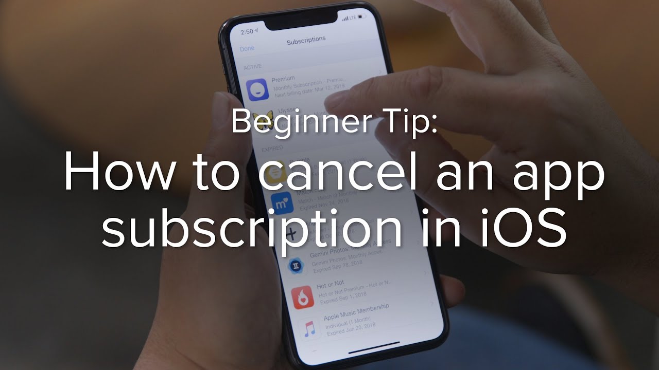 Guide to Cancelling iPhone Subscriptions Step-by-Step