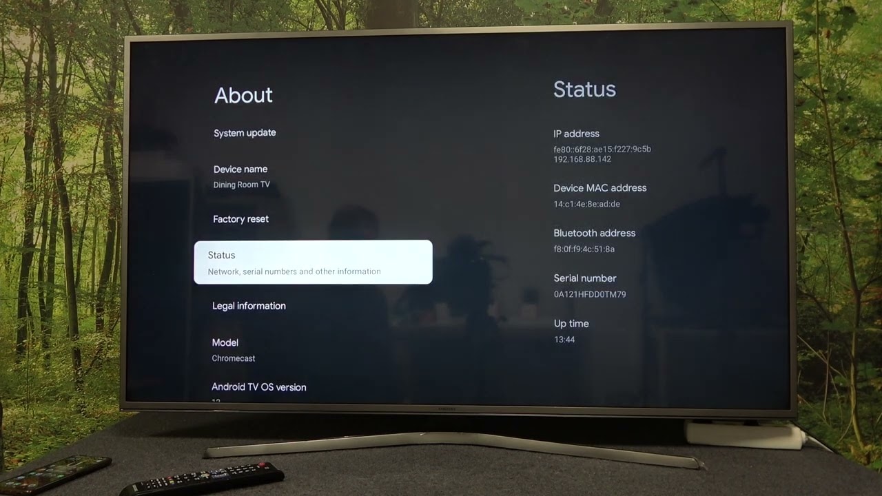 Factory Reset Google Chromecast 4.0 - DIY Guide